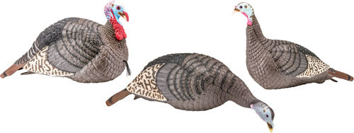 HS STRUT TURKEY DECOY FLOCK