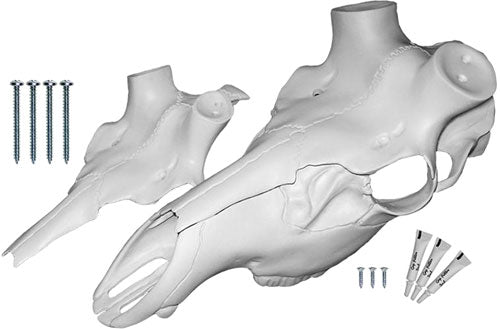 MOUNTAIN MIKE'S ELK SKULL