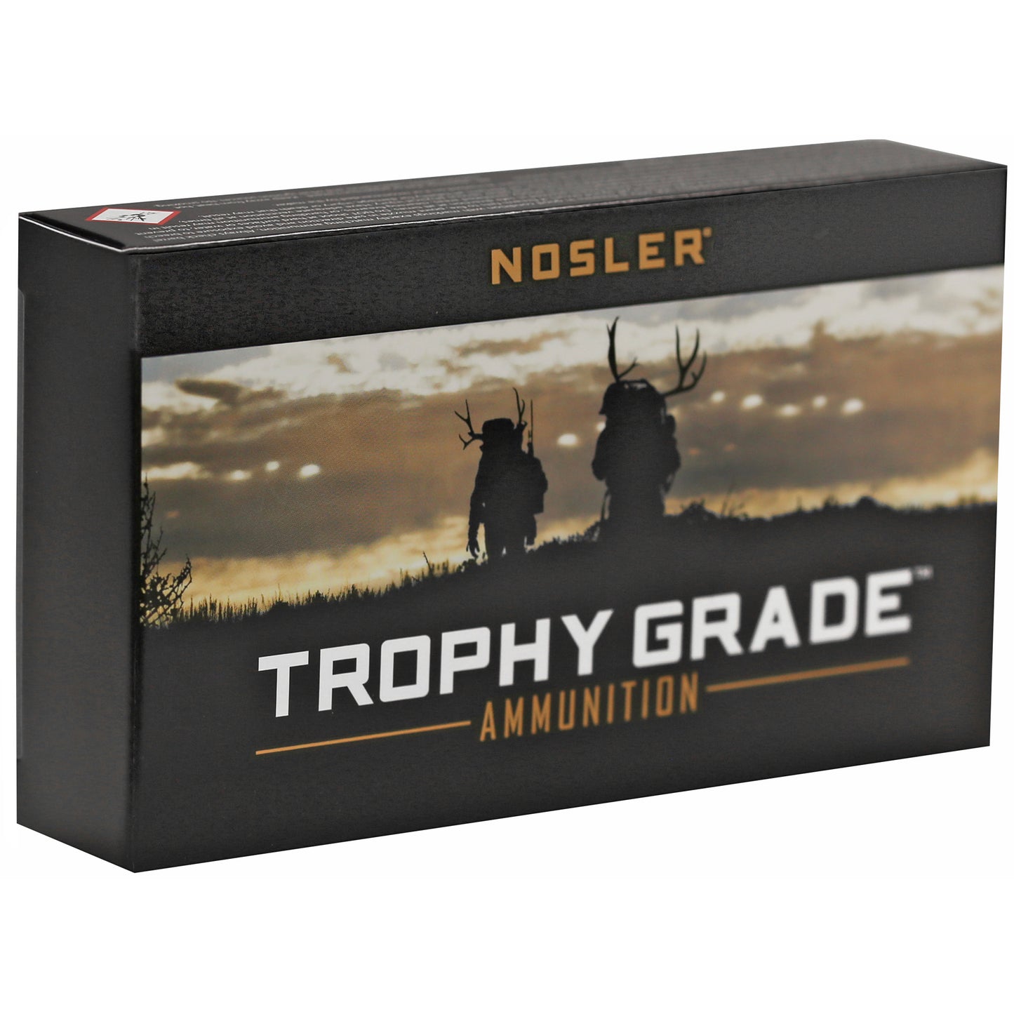 NOSLER TG 243WIN 100GR PT 20/200