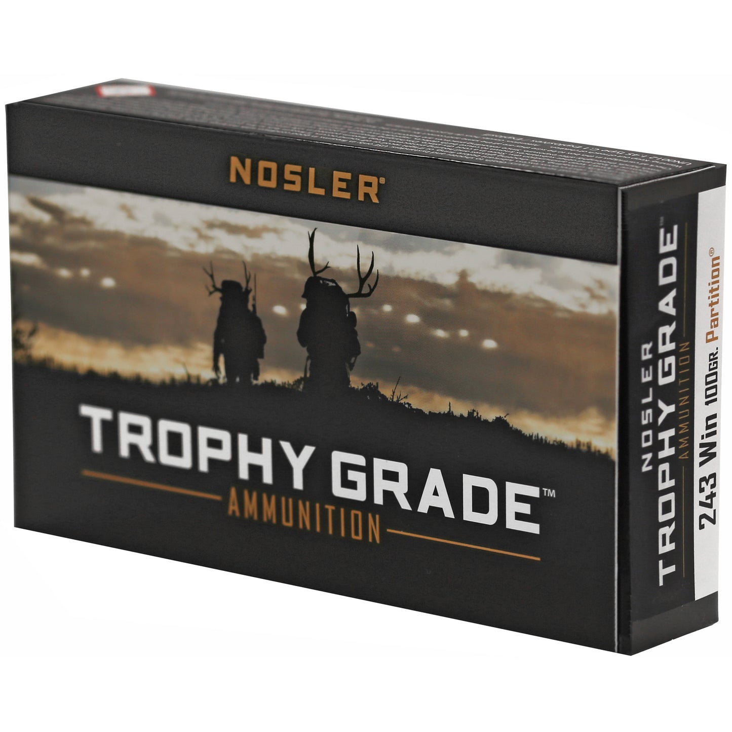 NOSLER TG 243WIN 100GR PT 20/200