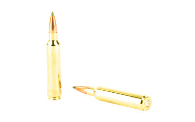 NOSLER E-TIP 30NOS 180GR 20/200