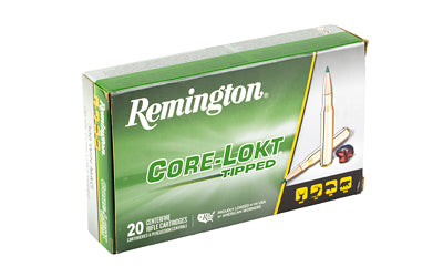 REM 300 WIN MAG 180GR CL TIP 20/200