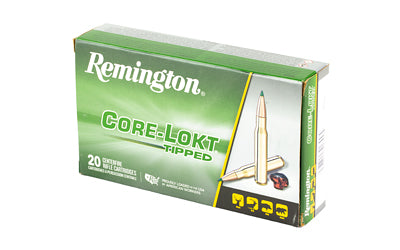 REM 300 WIN MAG 180GR CL TIP 20/200