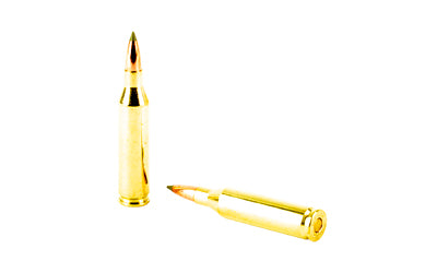 NOSLER E-TIP 243WIN 90GR SP 20/200